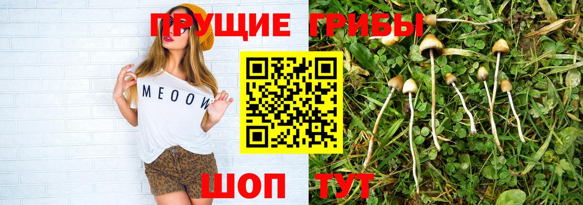 Галлюциногенные грибы ЛСД  Вход с VPN  Людиново  Галлюциногенные грибы Psilocybe 